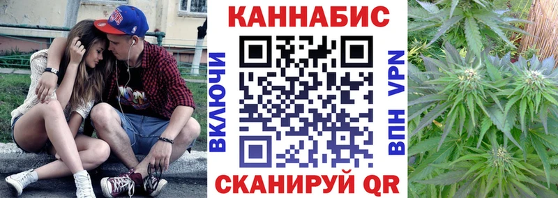 Купить закладку Alpha-PVP  Cocaine  Меф  МАРИХУАНА  ГАШ  Трубчевск