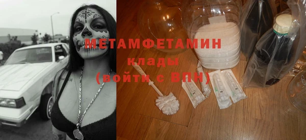 прущие грибы Осташков