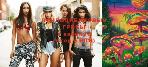 mdpv Няндома