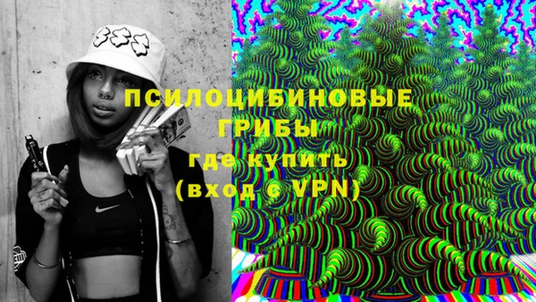 соль ск Нязепетровск