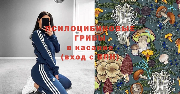 mdpv Няндома