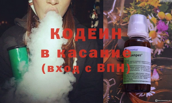 прущие грибы Осташков