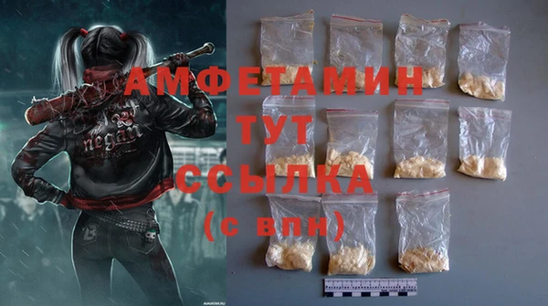 прущие грибы Осташков