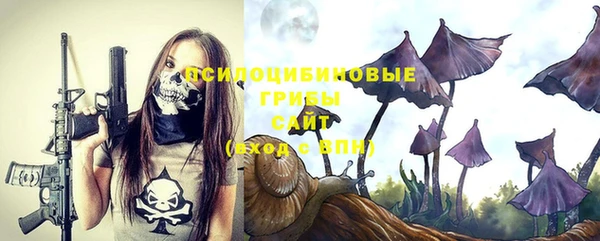 соль ск Нязепетровск